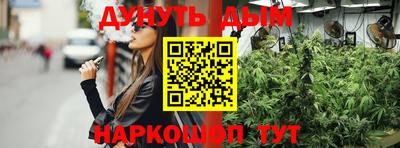 сатива Обь