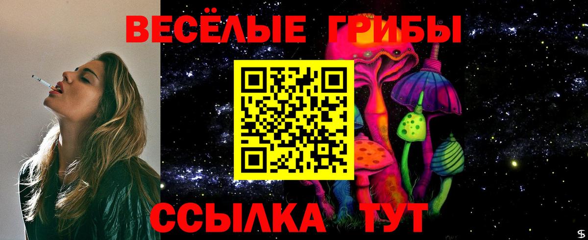 Ижевск  Галлюциногенные грибы Psilocybe  Вход с VPN 